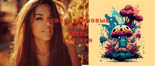 амф Беломорск