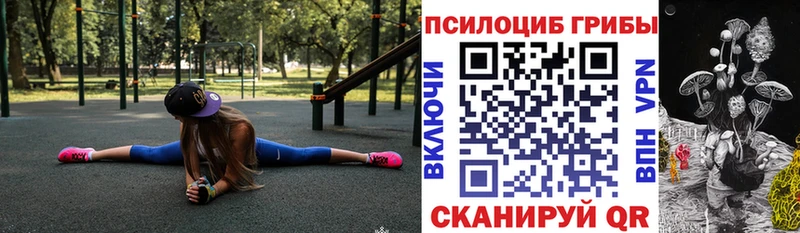 Псилоцибиновые грибы Cubensis  blacksprut ONION  Городовиковск 